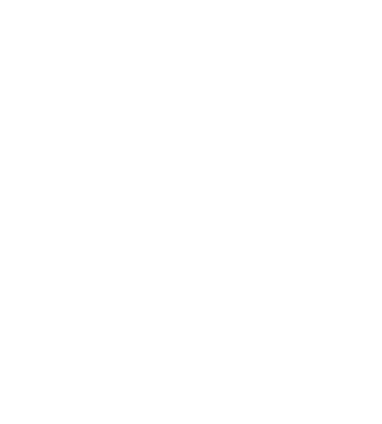 Clebsch Robotics Logo